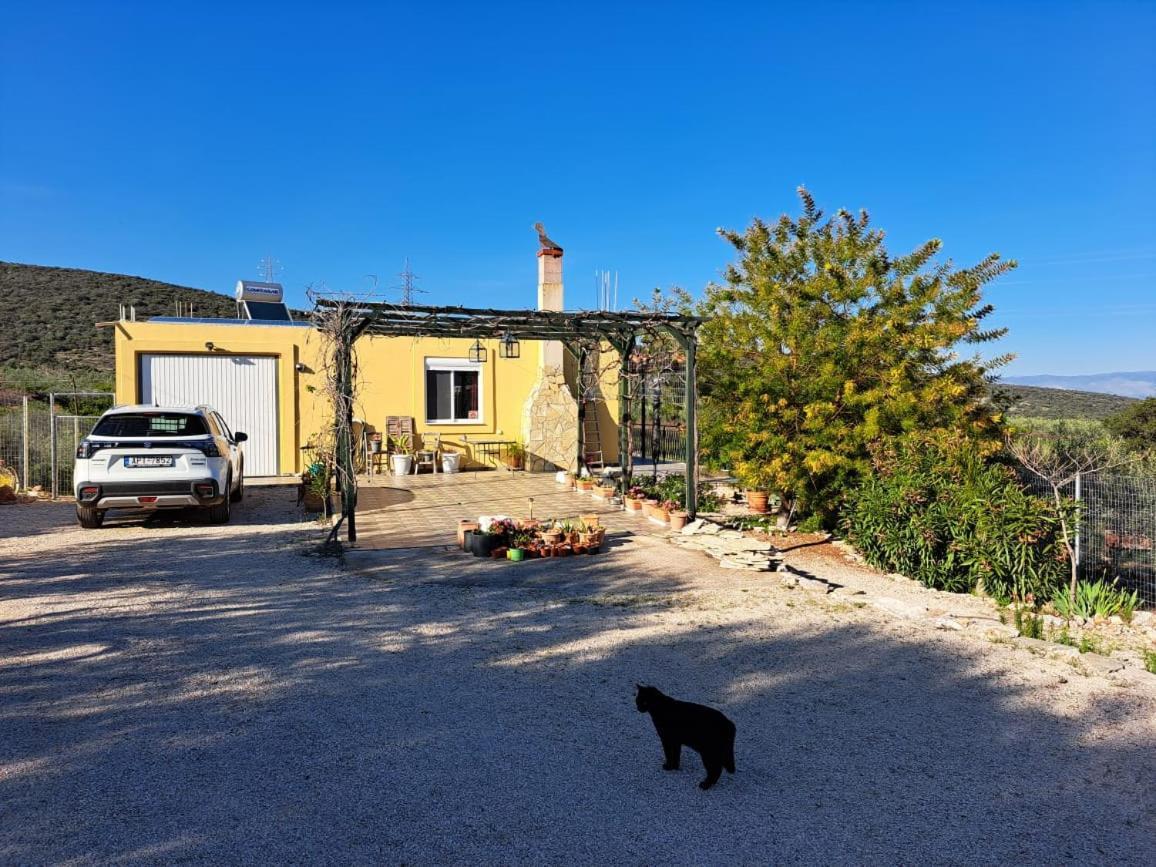 Grieks Vakantiehuis To Kalokairi Kougaíika Exteriér fotografie